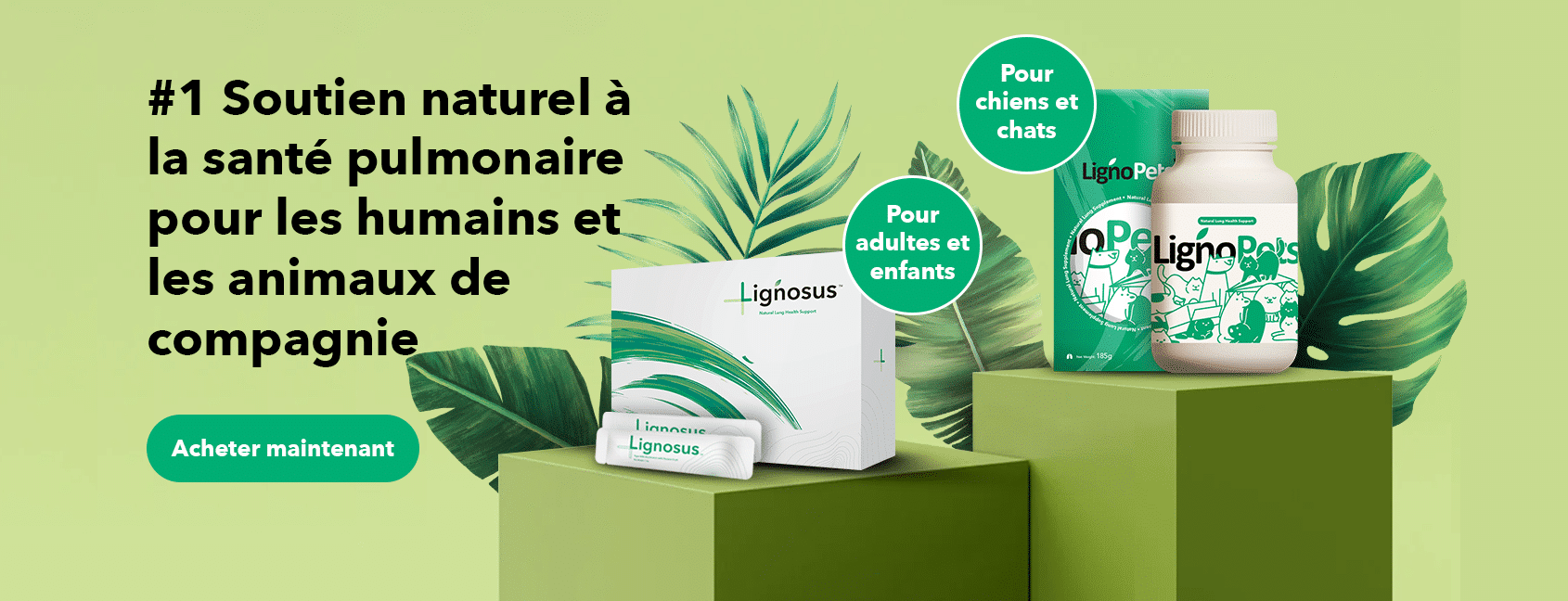 banner-product-presentation
