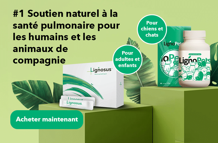 banner-product-presentation