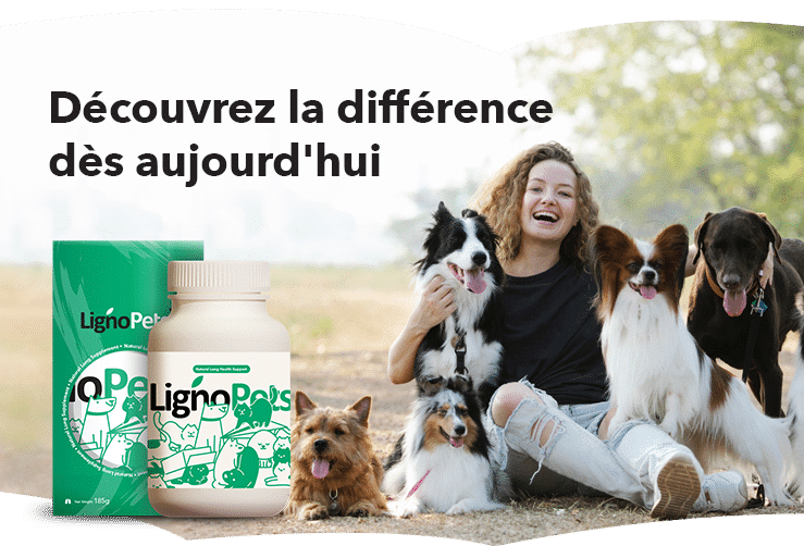 banner-product-presentation