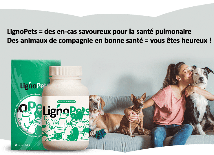 banner-product-presentation