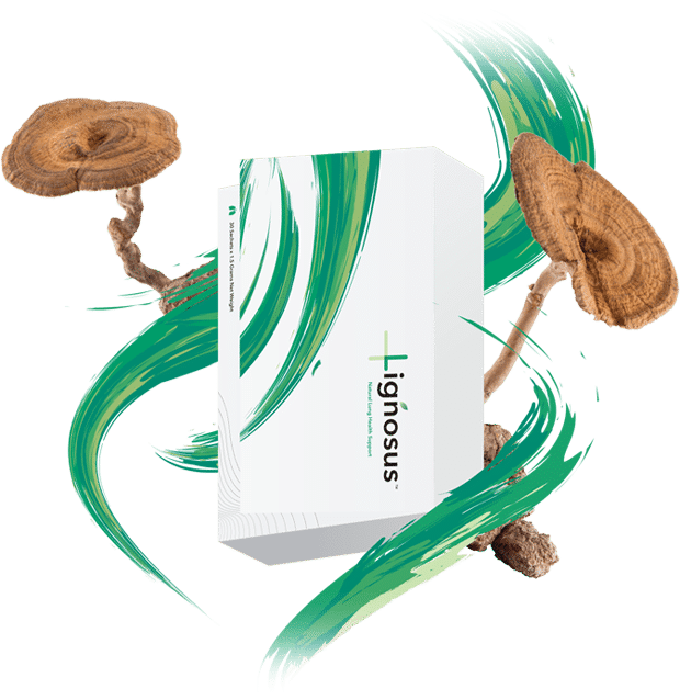 banner-product-presentation